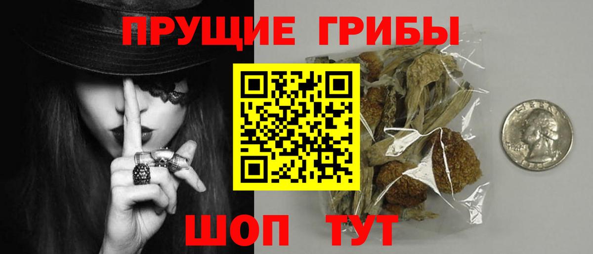 Псилоцибиновые грибы GOLDEN TEACHER  Вход с VPN  закладки  Красноуфимск 